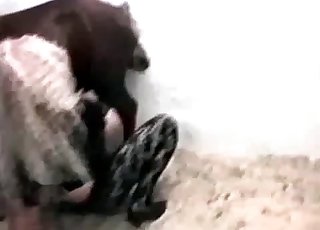 Cute pony fucking a sensual blonde