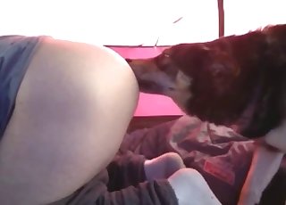 Good doggy is smelling her tight ass from behind